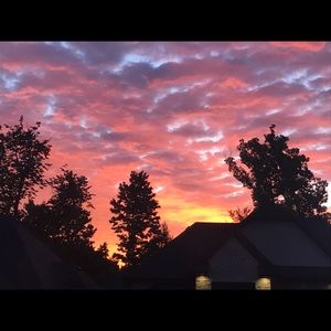 Meet your Posher, Luz maria